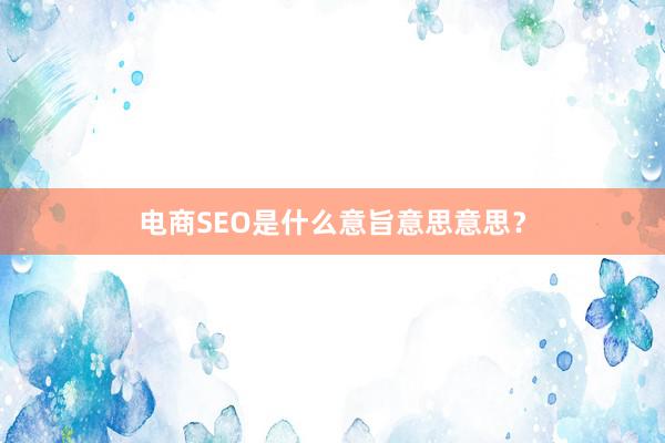 电商SEO是什么意旨意思意思?